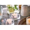 Bolsius True Scents - Maxi Scented Tea Lights - Pomegranate