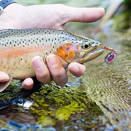 Lurowo 30 Pieces Fishing Lure Spinner Set Artificial Bait for Fishing Pike Zander Perch Trout Trout Bait Pike Bait with Fishing Hooks, Wobbler Bait Spin Fishing Set