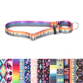 Choke Collar for Dogs, No-Slip Escape Proof Choke No Pull Cinch Soft Nylon Dog Training Martingale Collars Adjustable for Small Medium Large Breed Pet Dogs, Orange Forest M