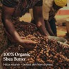L'Occitane 20% Shea Butter Hand Cream, 5.2 fl. oz.