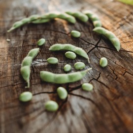 Southeast Seeds BeSweet Edamame Seeds, NON-GMO, Green Soybean, Glycine Max, Buttery, FREE SHIP - 1300 Seeds or 1 LB
