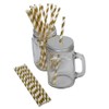 Neviti Paper Straws - Gold, Pack of 25