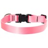 LupinePet Basics 1" Pink 12-20" Adjustable Collar for Medium and