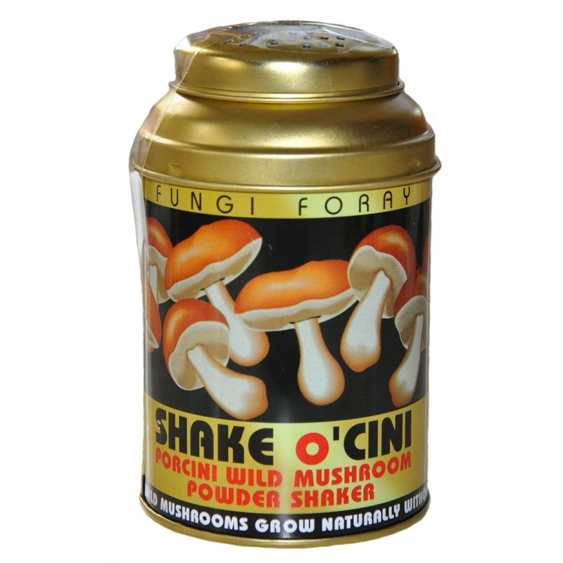 Shake O'CINI - Wild Porcini Mushroom Powder in Shaker 50g