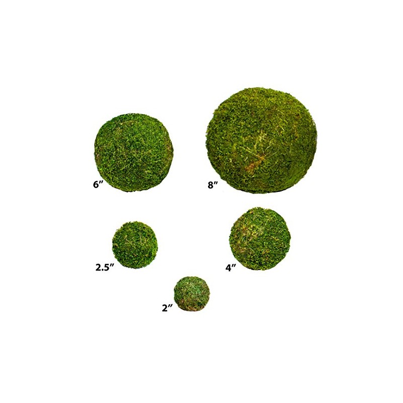 SuperMoss (21663) Moss Ball, Fresh Green, 8"
