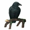 YTC Raven - Collectible Figurine Statue Sculpture Figure Crow Bird