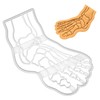 X-ray Human Foot Cookie Cutter 1 Piece. Bakerlogy