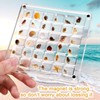 XIHIRCD Acrylic Magnetic Seashell Display Box, Clear Sea Shell Display