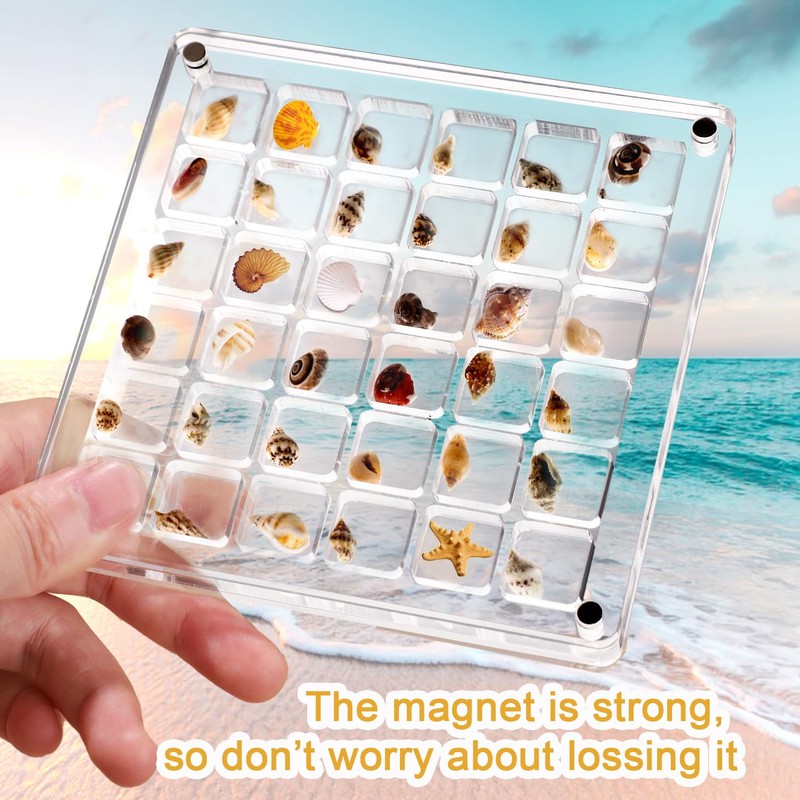 XIHIRCD Acrylic Magnetic Seashell Display Box, Clear Sea Shell Display