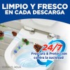 Bref WC Poder Activo Pino Canastilla limpiadora y aromatizante para