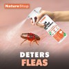 NatureStop Flea Killer Spray for Indoor Use, Fast-Acting Flea Treatment