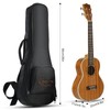 Hricane Tenor Ukulele 26 Inch Professional Ukelele For Beginners Adults,