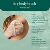 EcoTools Dry Body Brush, Cruelty-Free Bristles Exfoliate & Smooth Skin,