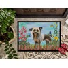 Caroline's Treasures CK1221MAT Chinese Crested Spring Doormat 18x27 Front Door