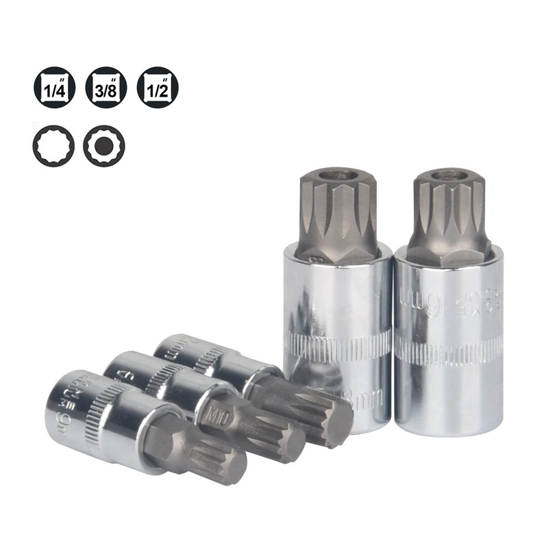 DAYUAN Spline Socket Bit Set 10pcs Square Triple Silver M4