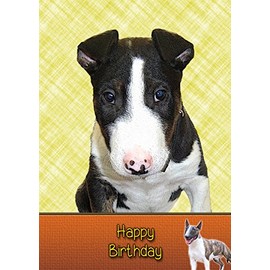 English Bull Terrier Birthday Card