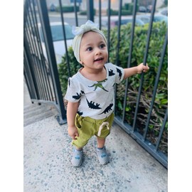 Baby Boy Clothes 18-24 Months Toddler Boys Summer Outfits Dinosaur T-Shirt & Shorts Set 2 Piece， Green Dino 18-24 months/80cm