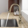Gold Kitchen Sink Faucet with Pull Out Sprayer, Brushed Gold