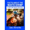 Facts About the Mantis Shrimp