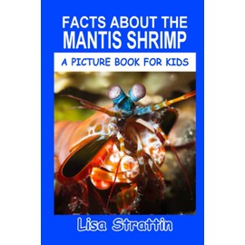 Facts About the Mantis Shrimp