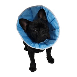 Post-operative collar for dogs and cats to promote wound recovery.