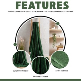 Olivia Rocco Flannel Fleece Throw Blanket Super Soft Warm Fluffy for Bed Sofa Couch Chair Lightweight and Cozy Solid Design, 150 x 200 cm Emerald Green