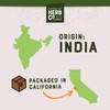 Monterey Bay Herb Co. Chicory Root Roasted | Ragged Sailors,