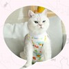 2 PCS Cat Recovery Suit for Spay Abdominal Wounds, Cat