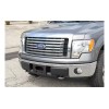 Parachoque Delantero Defensa Moldura Ford F150 2009-2014