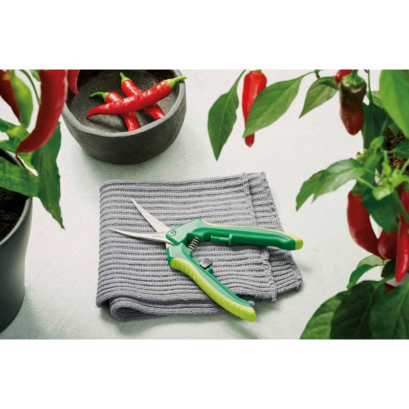 Romberg Harvesting Scissors Curved