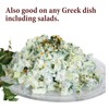 The Spice Way - Tzatziki Seasoning Dip (4 oz) -