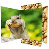 RNK Chipmunk 45375 Drawing Folder 310 x 440 mm Document