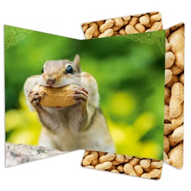 RNK Chipmunk 45375 Drawing Folder 310 x 440 mm Document Folder for DIN A3 with Elastic Closure Pack of 1