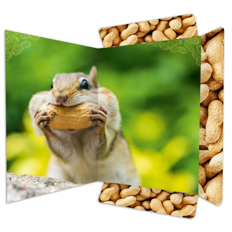 RNK Chipmunk 45375 Drawing Folder 310 x 440 mm Document