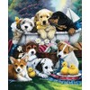 SunsOut Newland 70448 Jigsaw Puzzle 1,000 Pieces Bath Time for Puppies