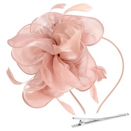 Alaoo Fascinator Hats for Women, Ladies Fascinators Hat, Pillbox Hat with Veil Headband for Wedding Tea Party Mesh Flower Cocktail Party (Color : 01-Pink)