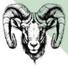 Large 210mm 'Ram Head ' Transparent/Clear Sticker Decal for Windows/Cars/Walls