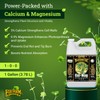 FoxFarm BushDoctor Cal-Mag - Liquid Calcium & Magnesium Supplement, Prevents
