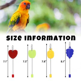 QBLEEV 2 Pack Bird Food Holder, Parakeet Foraging Toys, Quaker Parrot Fruit Vegetable Stick Feeders, Stainless Steel Birds Hanging Food Treats Skewer Tool Set for Budgie Macaw Conure Cockatiel