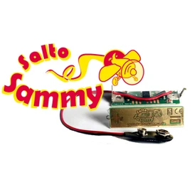 Elektronik Gabriel Salto Sammy Tuning for Looping Louie
