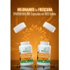 Cápsulas Cúrcuma Jengibre Pimienta Negra Botes Sabor