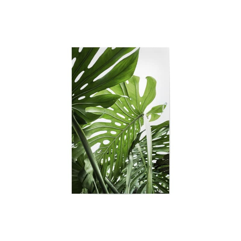 artboxONE Bundle Plants, jungle, 30x20 cm