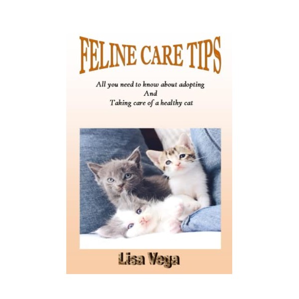  FELINE CARE TIPS: All you need to know about