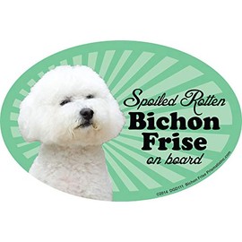 Bichon Frise Car Magnets: Spoiled Rotten Bichon Frise - Oval 6" x 4" Auto/ Truck/ Refrigerator/ Mailbox (Funny Car Decals, Dog Magnet, Bichon Frise)