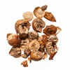 Chuan Lian Zi (Chinaberry Fruit) | Melia Toosendan | Bulk Chinese Herb (1 Oz)