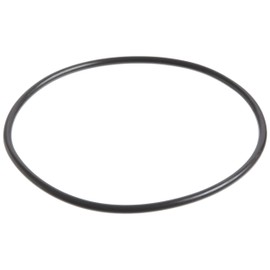 Pentek 151120 Buna-N O-ring for Standard & 3G Standard Housings