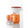 Prepworks by Progressive Canning Funnel for Regular and Wide Mouth