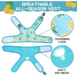 BINGPET Cat Harness - with Leash Included - Mesh Cat Dog Walking Harness Adjustable Harness for Kitties Puppy Harness Adjustable Cat Vest Harness Pineapple