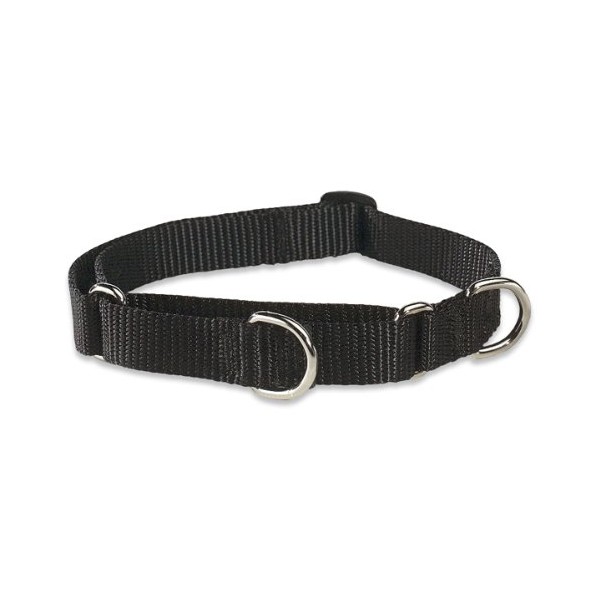 LupinePet Basics 3/4" Black 14-20" Martingale Collar for Medium and
