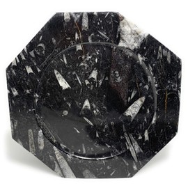 2784 Grams, 2 Plates set, 12" Large Unique Pattern Octagon Shape Black Fossils Orthoceras Plates from Morocco, B8271